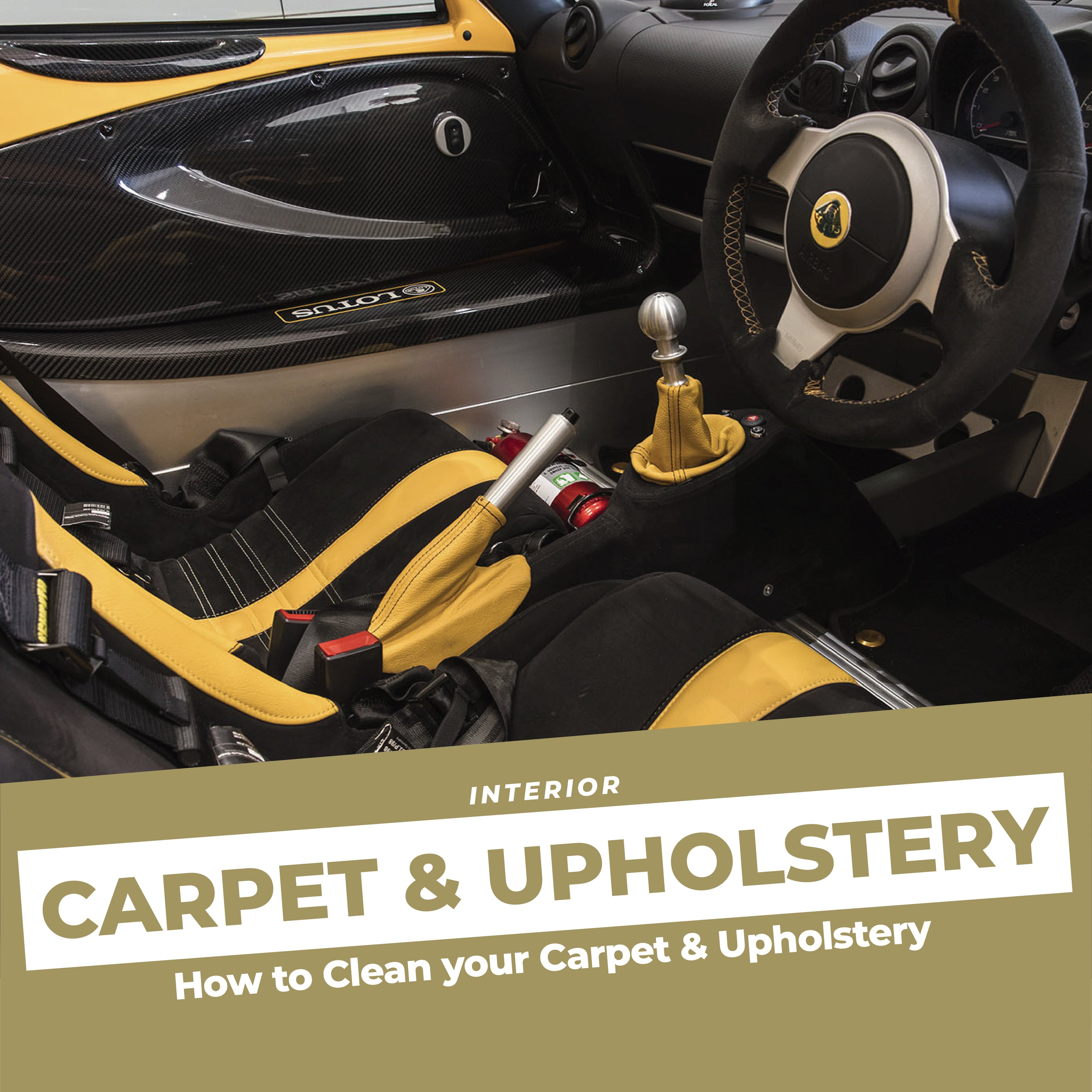How to Clean your Carpet & Upholstery