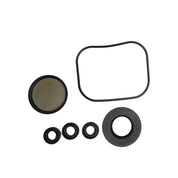 Annovi Reverberi Oil Seal Kit
