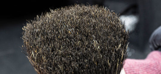 Boar hair bristles