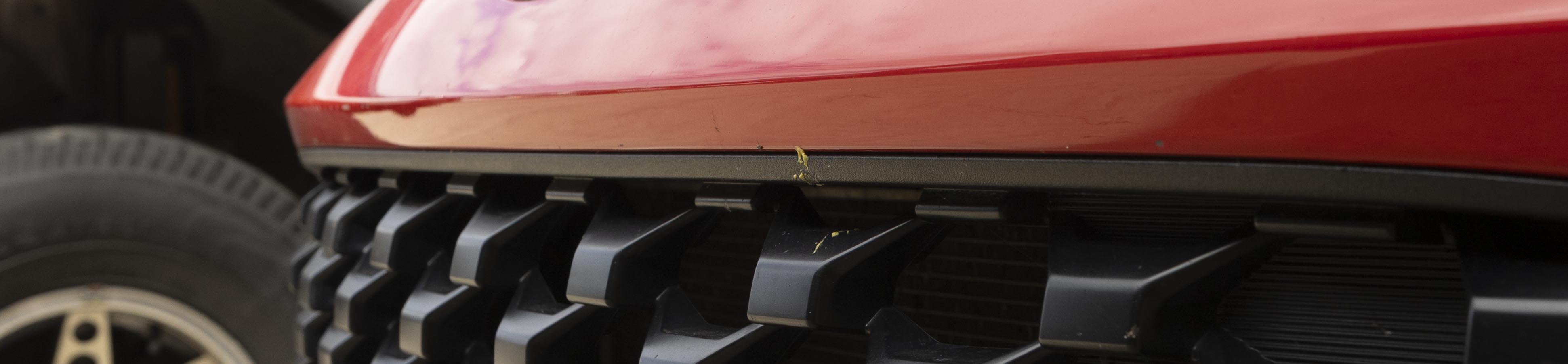 Bug Splatter on red car