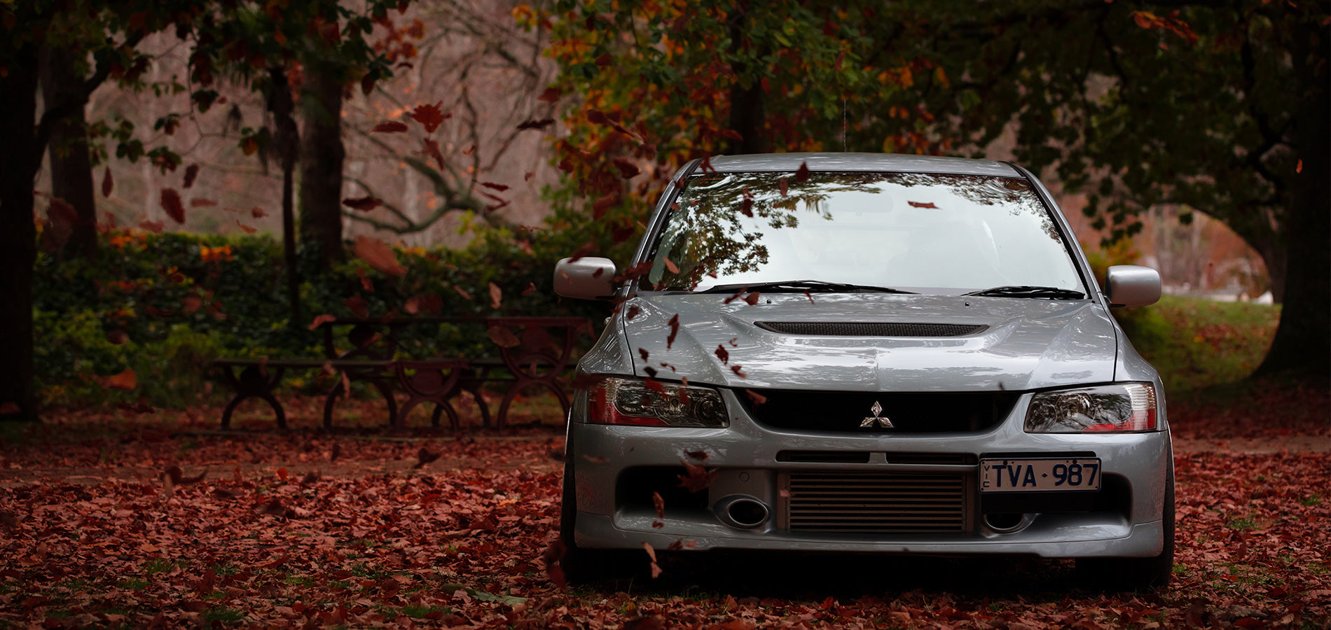 Evo_Autumn.jpg