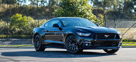 Black mustang outside