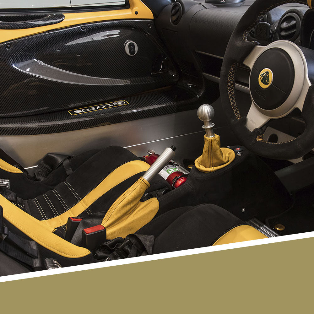 Interior of a yellow lotus