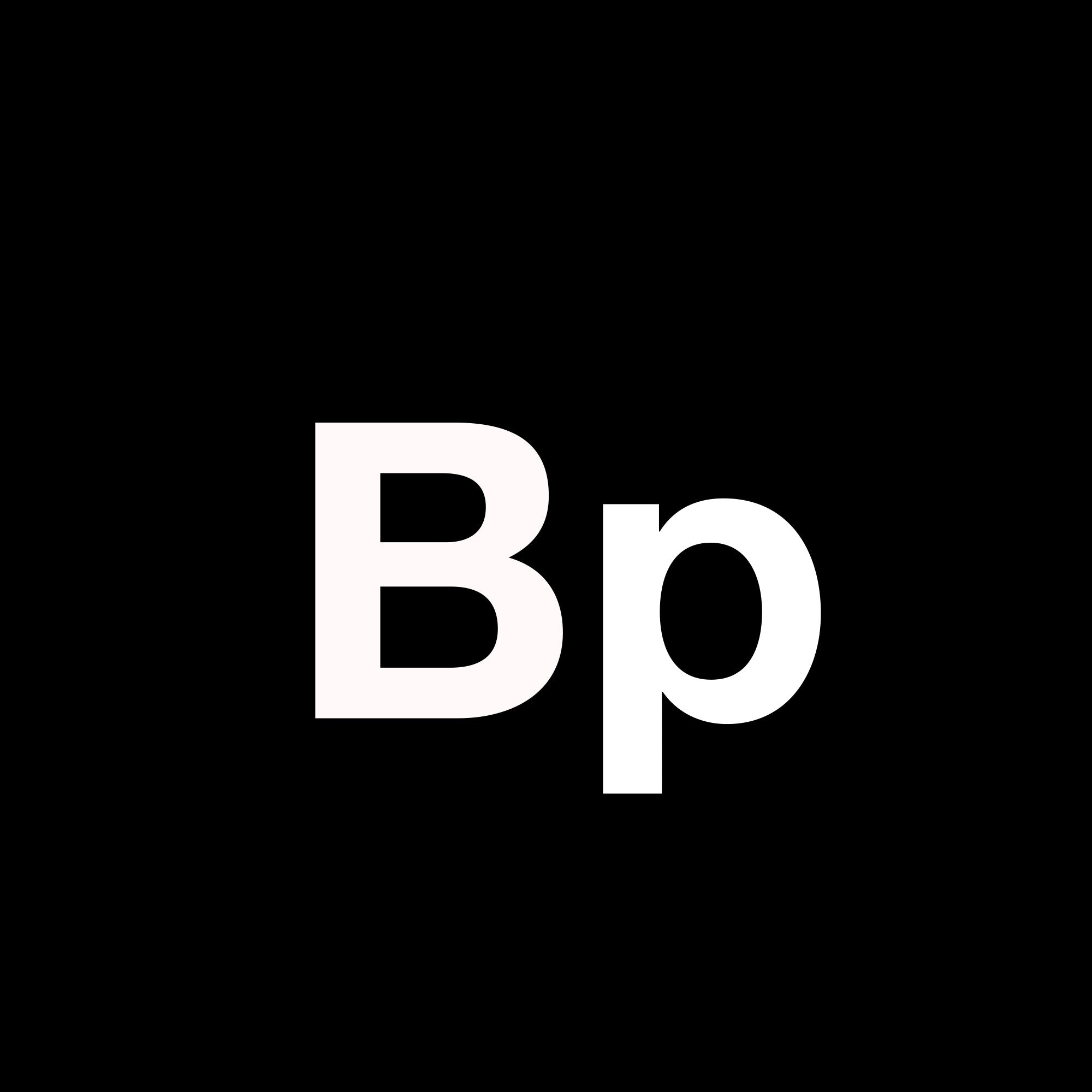 &#39;BP&#39; meaning Body and Paint colour coordinated to the &#39;black&#39; colour scheme